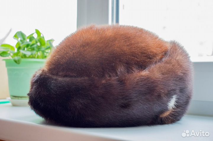 Норковая шапка