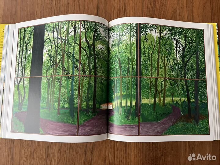 David Hockney A bigger picture Book