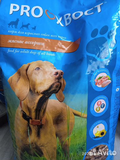 Сухой корм для собак