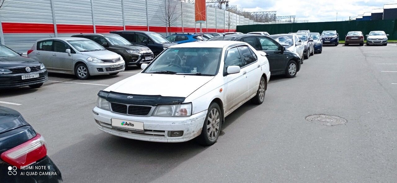 Nissan Bluebird: фото владельца