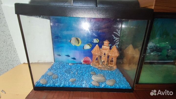 Аквариум