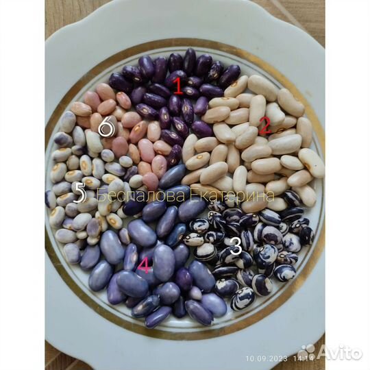 Сортовые семена