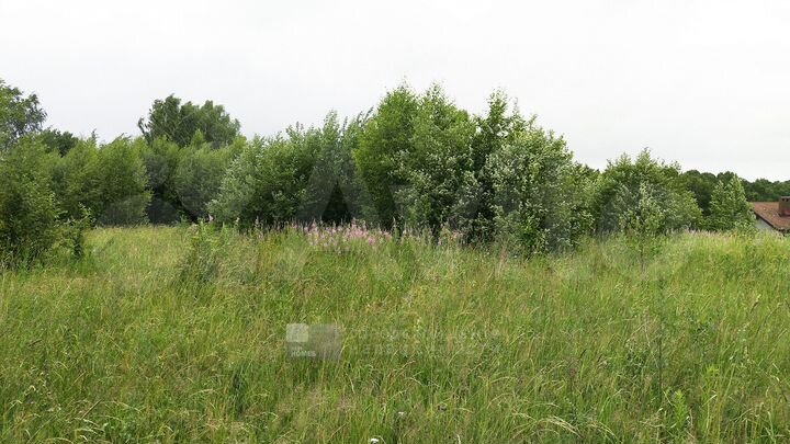 Участок 22,5 сот. (ИЖС)