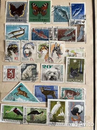 Почтовые марки СССР