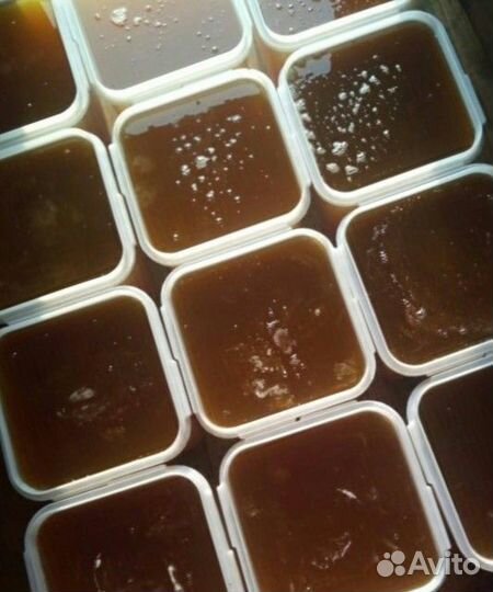 Мед оптом / разнотравье темное