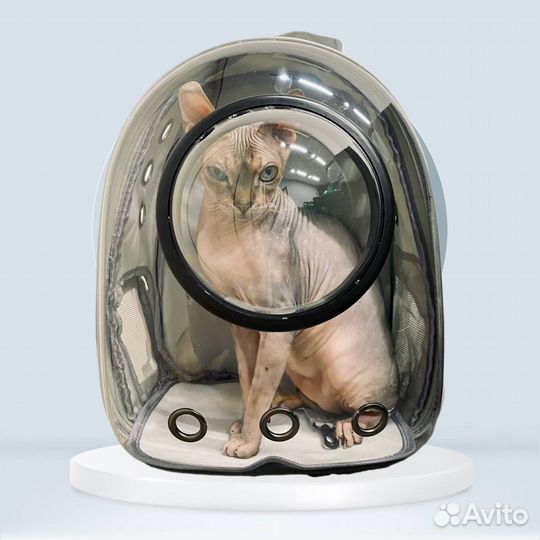 Переноска для кошек и маленьких собак