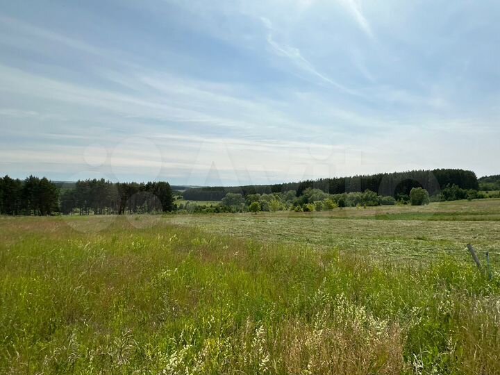 Участок 15 сот. (ИЖС)