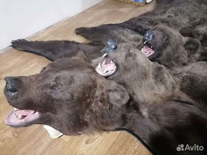 Изготовление трофеев