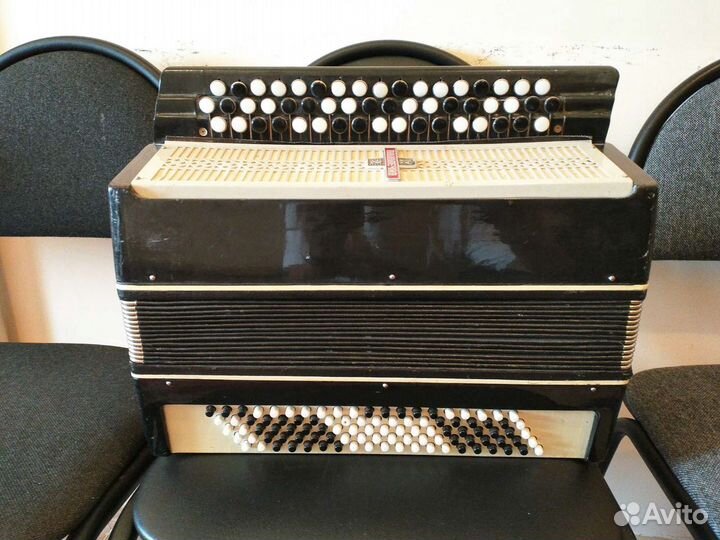 Баян, Молодечно