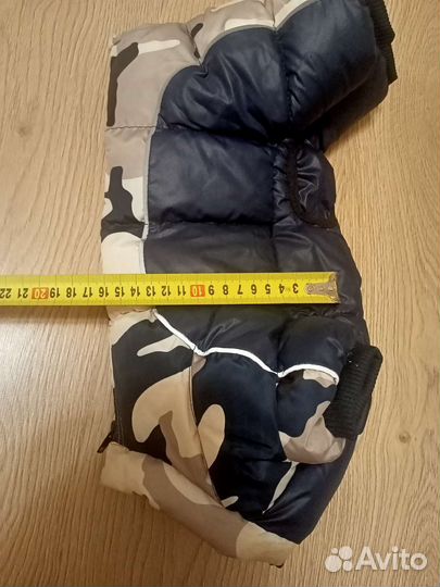 Костюм для собаки
