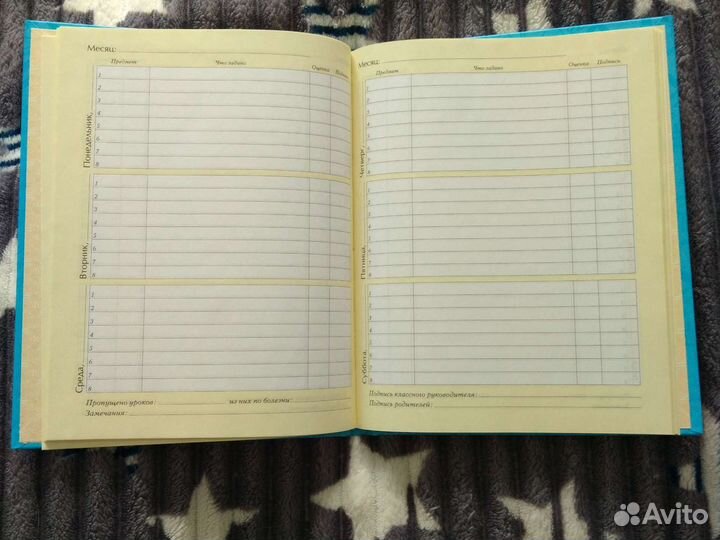 Школьный дневник для начальных классов