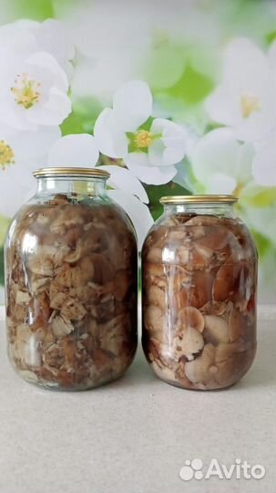 Опята маринованные