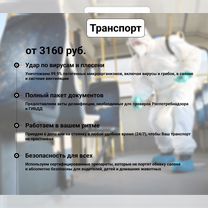 Обработка участка от клещей с гарантией, Апрелевка