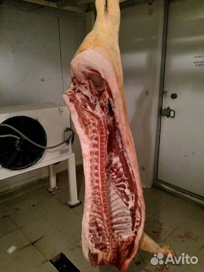 Мясо свинины в п/тушах охл. Беспл. доставка по Рзн