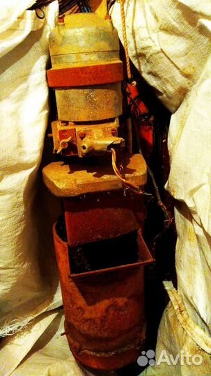 Электрошинковка для животных