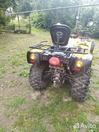 Снегоболотоход