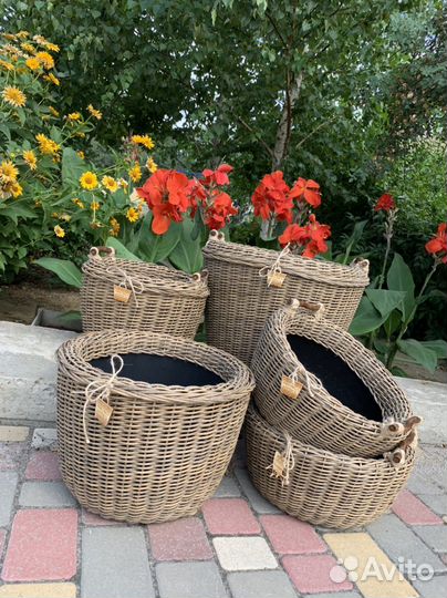 Обучаю плетению из ротанга