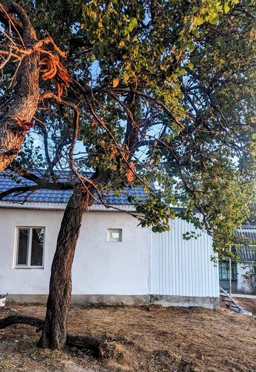 Дом 40 м² на участке 6,5 сот.