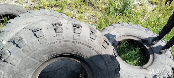 Продам шины грузовые Ви 202