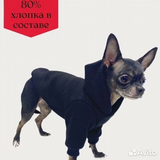 Одежда для собак кошек тостовка