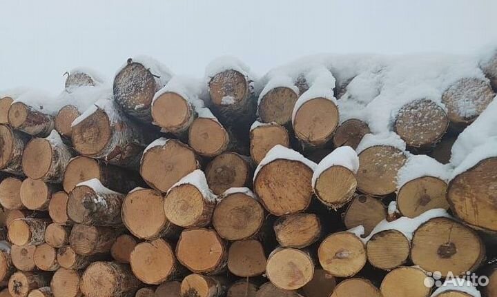 Лес кругляк береза