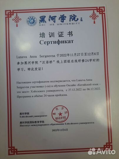 Китайский язык