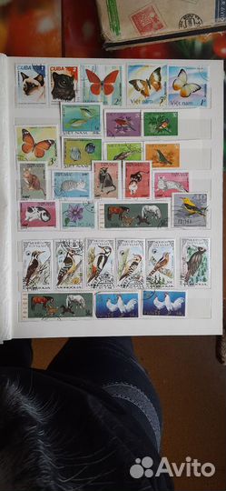 Альбом иностранных марок