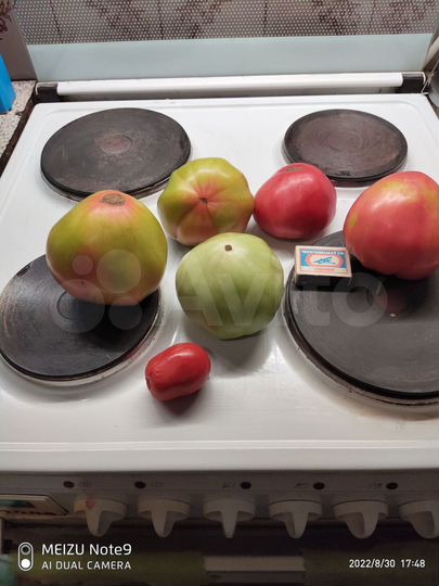 Дача 32 м² на участке 6,5 сот.