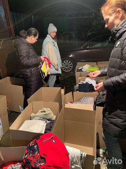 Отдам бесплатно в дар