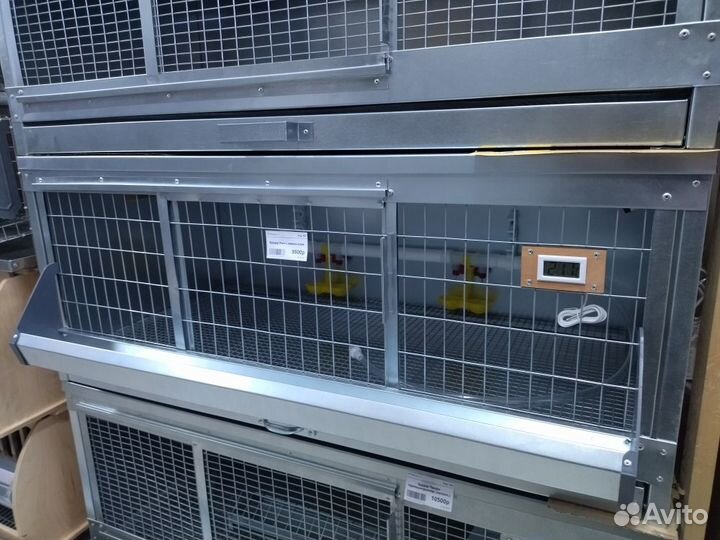 Брудер- новый для перепелят,утят,цыплят