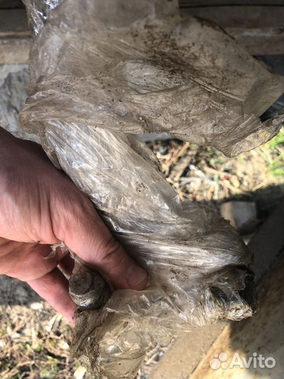 Стабилизатор поперечной устойчивости перений