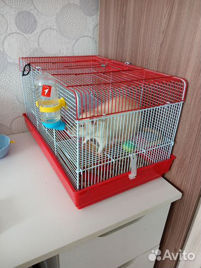 Клетка для крыс