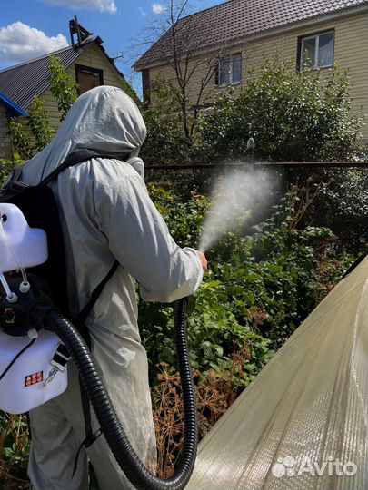 Дезинсекция. Уничтожение тараканов, клопов, мышей