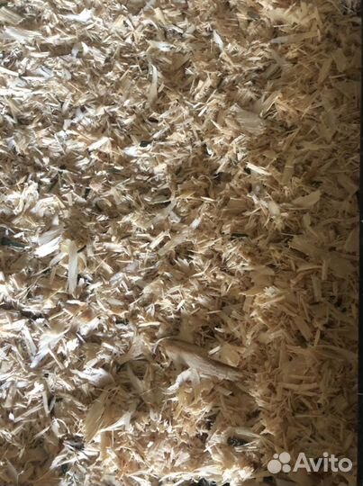 Щепа, опилки, стружка