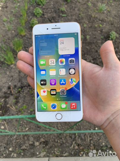 iPhone 8 Plus, 64 ГБ