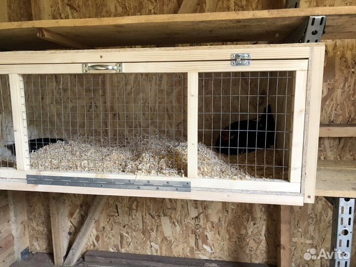 Клетки для птиц, кур, молодника, цыплят