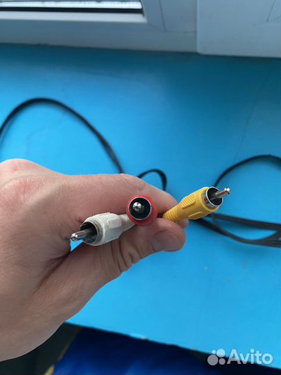 Тюльпаны провода