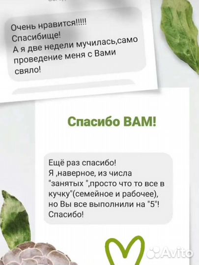 Стихи и песни на заказ