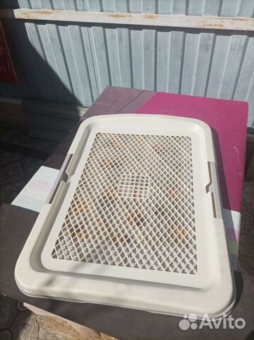 Лоток туалет для собак