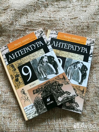 Учебник по литературе 9 класса