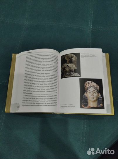 Полная история искусств Паола Волкова