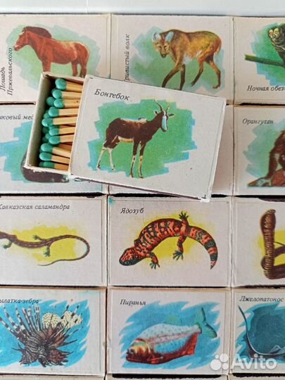 Сувенирные спички «Московский зоопарк»