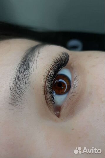 Наращивание ресниц брови