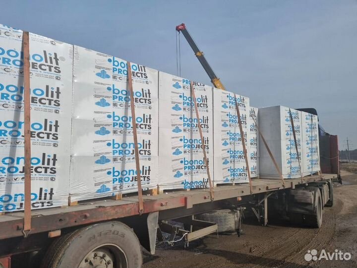 Блоки Бонолит 100