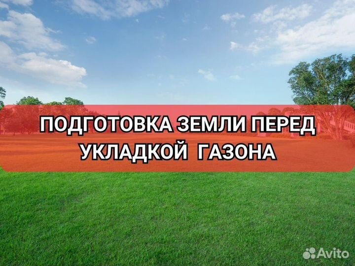 Продажа газона элитный