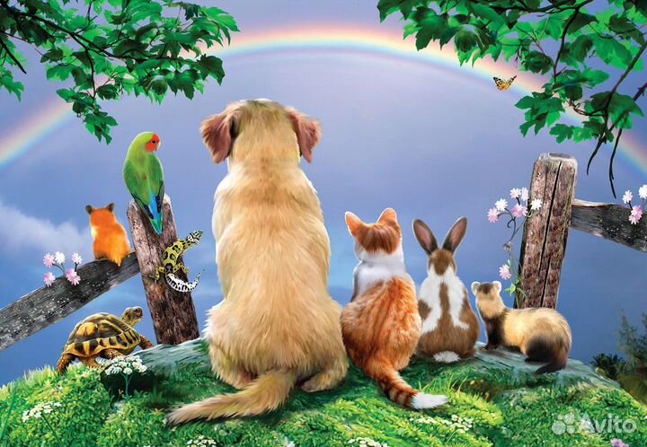 Кремация и эвтаназия животных