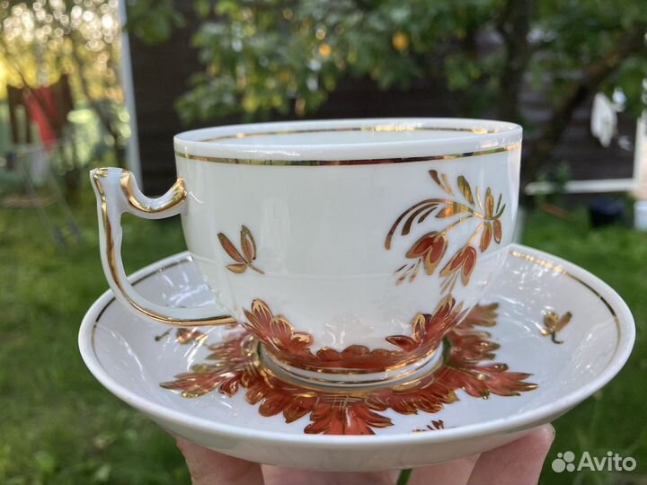 Чайная пара барбарис дулево вербилки