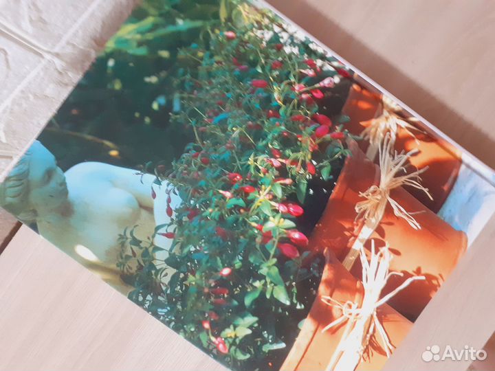 Контейнерное садоводство