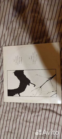 Виниловая пластинка