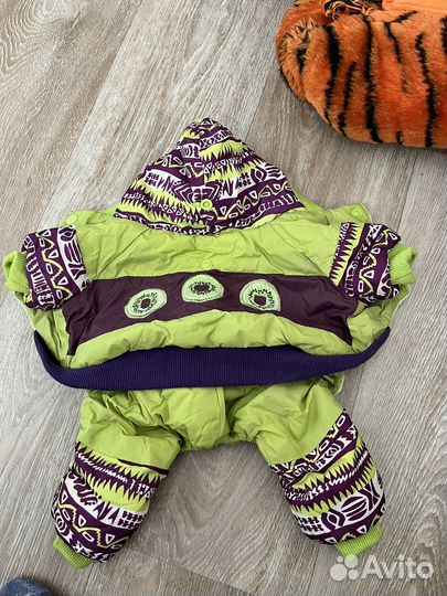 Одежда для маленьких пород собак